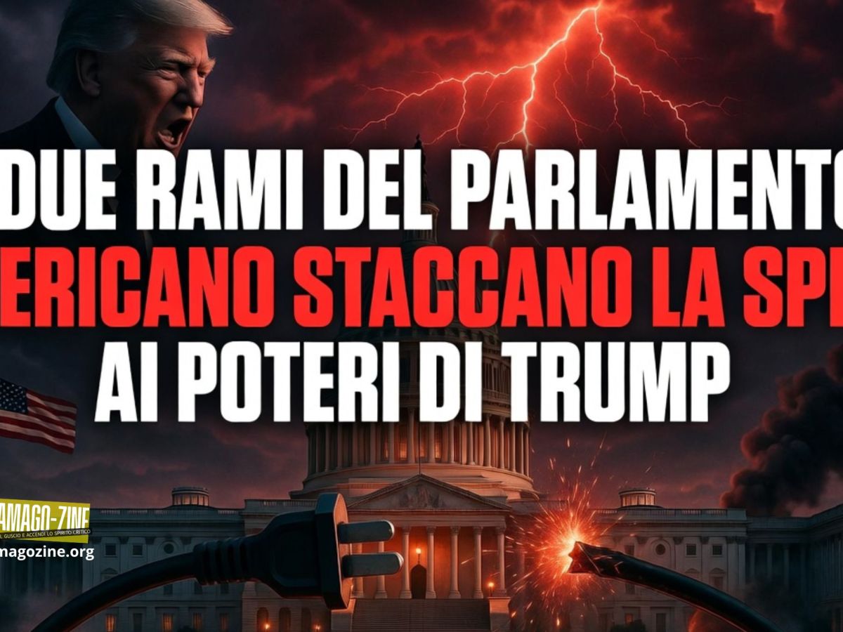 I DUE RAMI DEL PARLAMENTO AMERICANO STACCANO LA SPINA AI POTERI DI&nbsp;TRUMP
